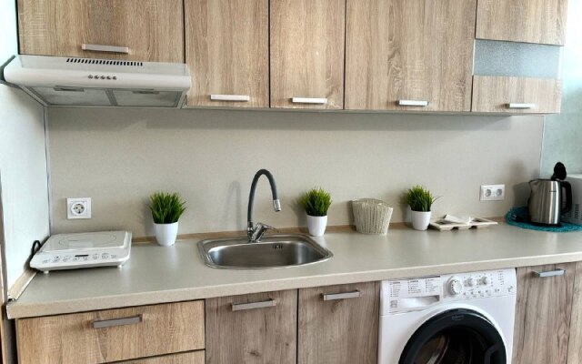 Апартаменты BestHome Двухкомнатная квартира Golden Sunshine на Волге