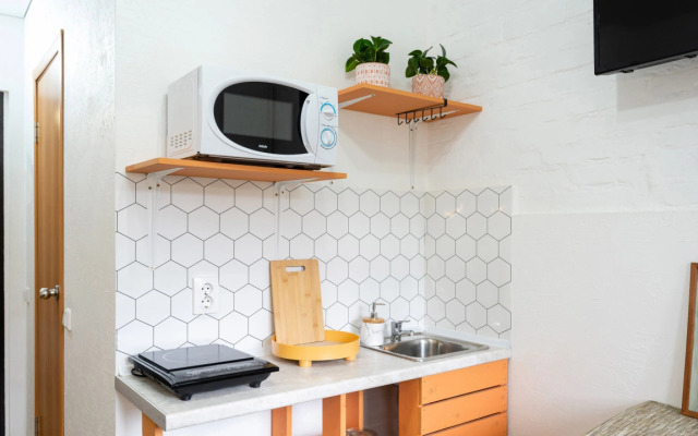 Pushkinskiy Flat 1