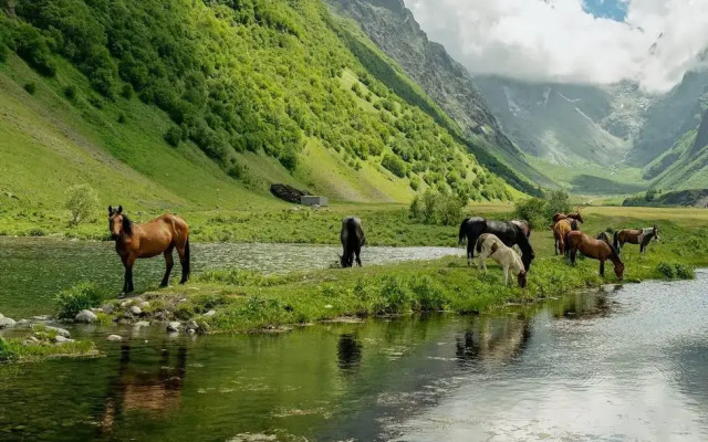 Квартира в ЖК Весна (В3)