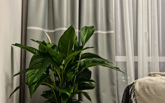 Апартаменты Quiet