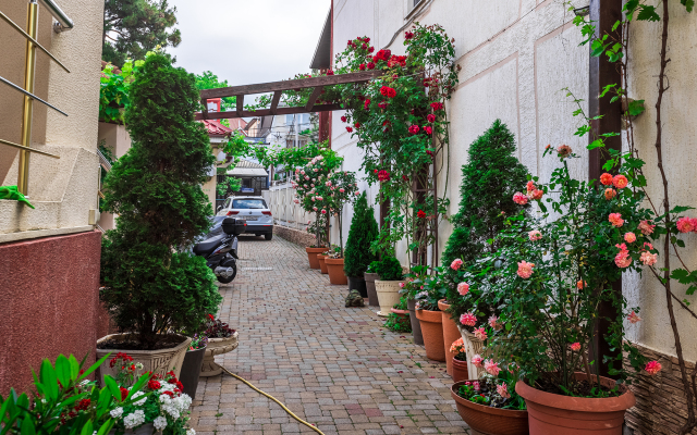 Гостевой дом Евгения