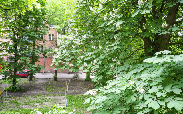 Апартаменты на Соммера