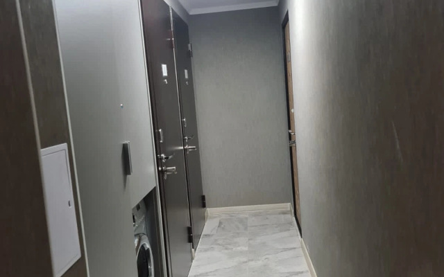 Milaya Studiya V Tsentre Apartments