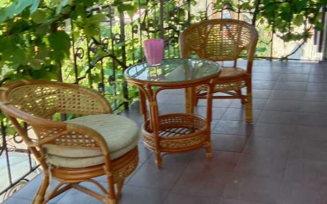 Fly Guest House