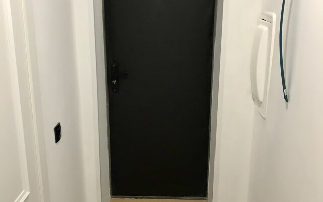 U Ozera Shlosstaykh Zamkovyy Prud Apartments