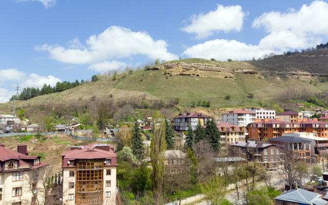 Двухместные апартаменты с 2 комнатами с видом на горы (кухня) — фото 3