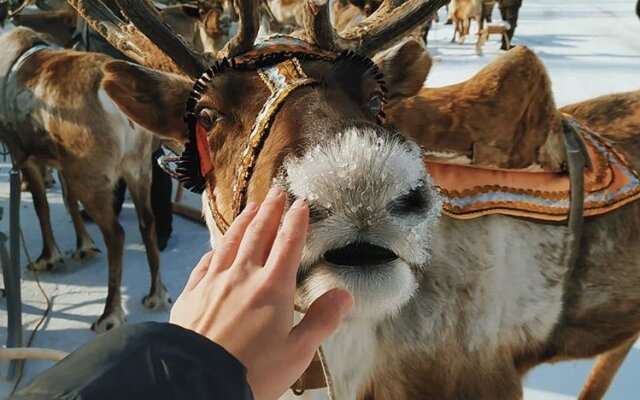 Кемпинг Sava Syo