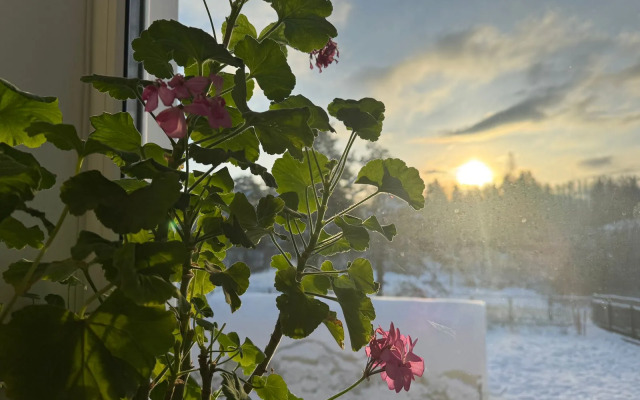 Дом у сосен