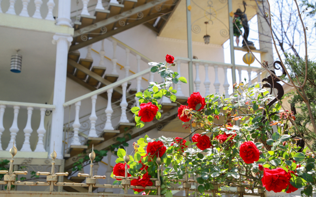 Panorama Guest House