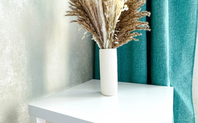 Studiya 3 Krovati Apartments