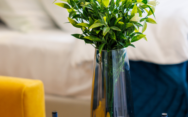 Meduza Apart uyutnye kino-studii s proektoramy 2 Apartment