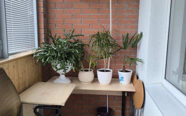 Uyutnaya Studiya V Novom Petergofe Flat