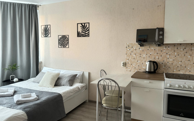 Апартаменты Batasheva Apart