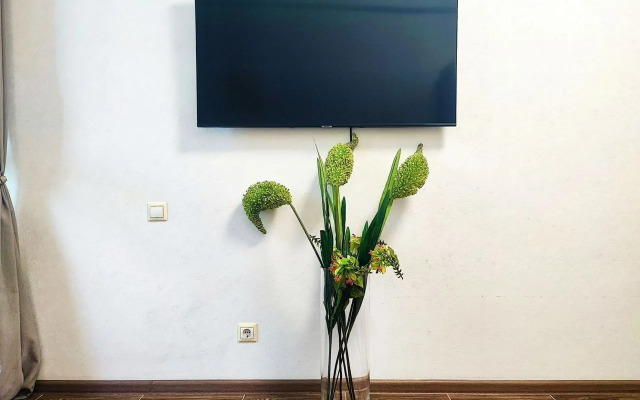 V Zhk Romanovckiy Flat