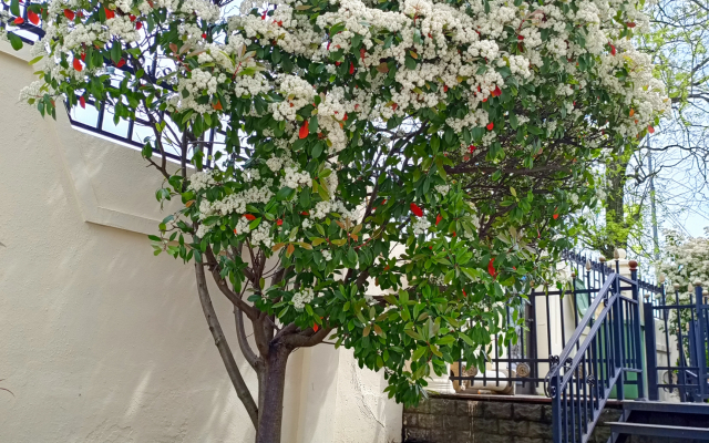 Loran Guest house