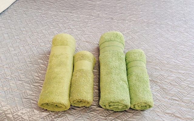 Квартира на Московском шоссе 33 к4