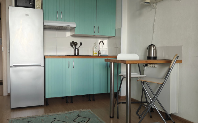 Студия Flamingo метро Ладожская