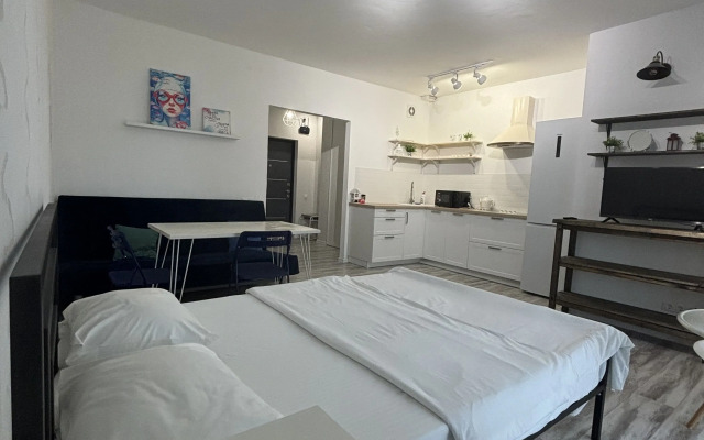 Апартаменты На Пушкинской 265 2