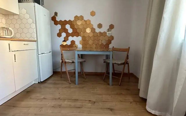 Odnokomnatnaya Vip Kolpino Flat