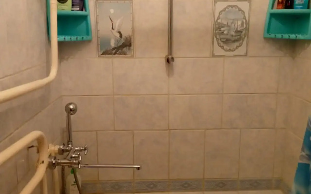 Квартира Пальмовая ветвь