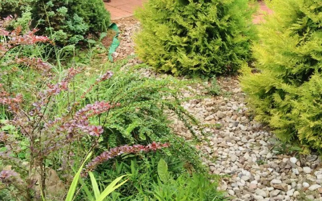 Гостевой дом Комплекс Заборье