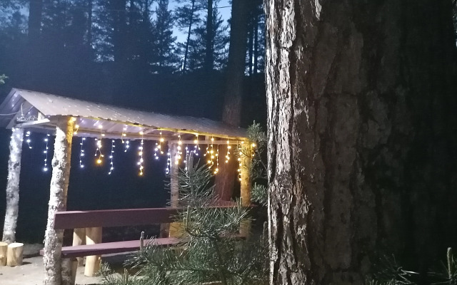 Шале Лес хрустальной песни