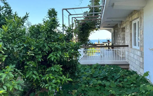 Anora Hotel