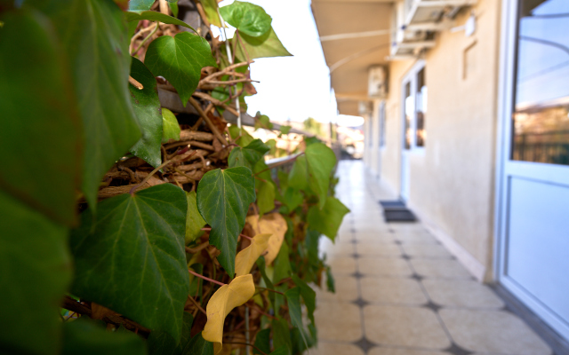 Panda Guest House