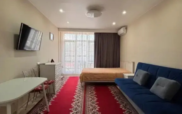 Квартира Студия 113 на улице Гайдара 22