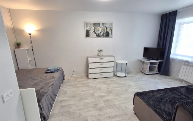 So Svetlym Remontom Flat