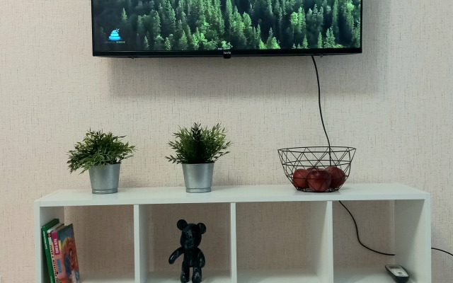 Квартира Уютная в центре на Ленина 88