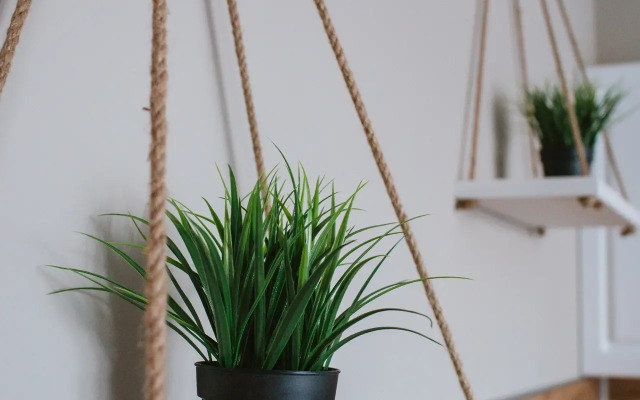 Просторные апартаменты с балконом