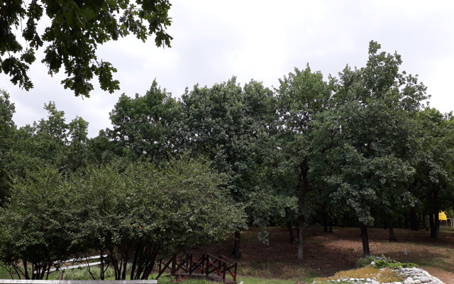 Dubrava Guest House