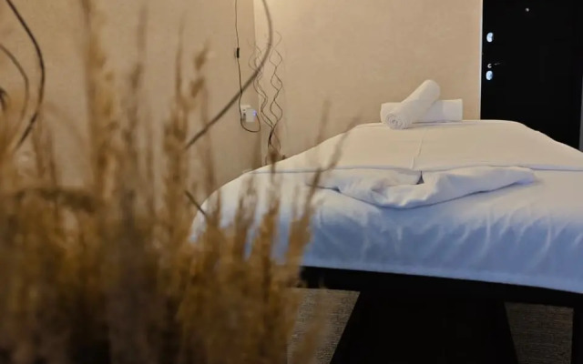 Бутик-отель Neozoom