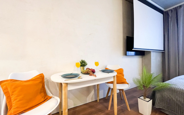 Studiya Kinoteatr Na Naberezhnoy 258-2 Apartments