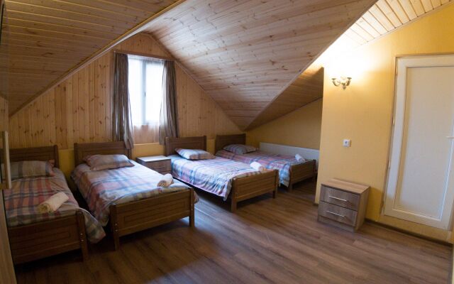 Eco House Bakuriani Hotel