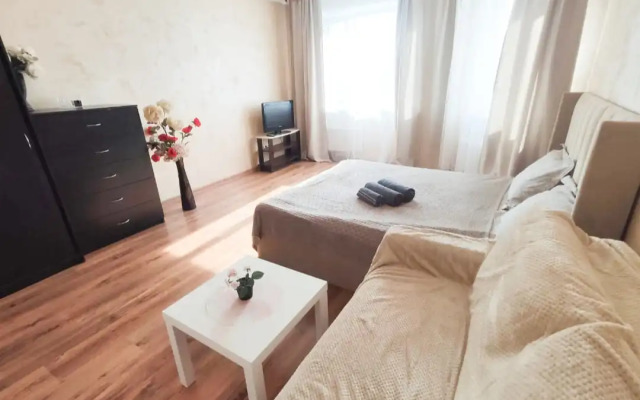 Odnokomnatnaya na Gagarina Flat