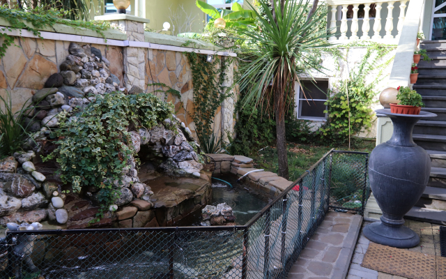 Paradiz Hotel