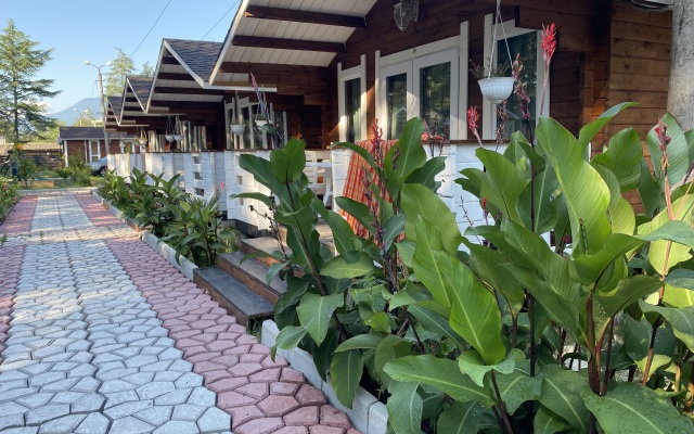 Eco House Pitiunt Resort Hotel