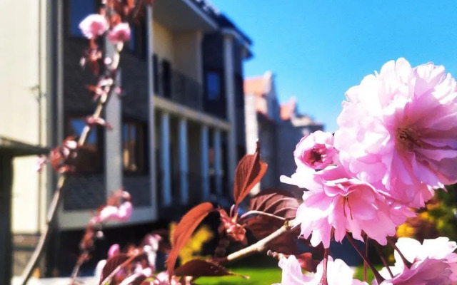 Отель Клевер