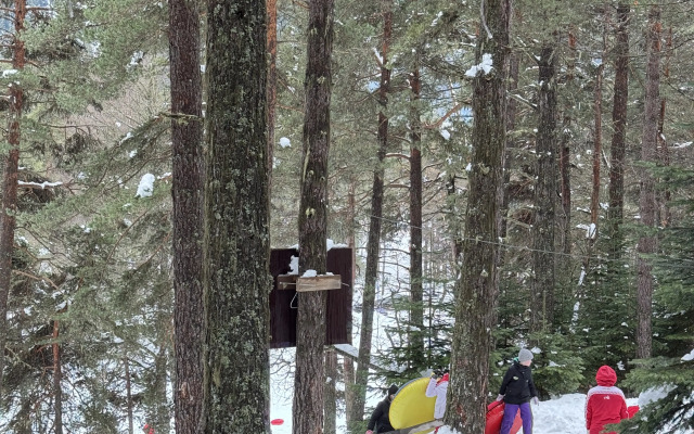 Частный дом 3 ПроЛес