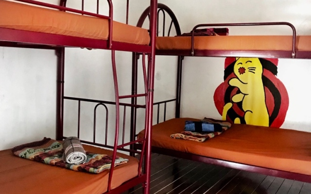 Quiik Cat Mini-Hotel