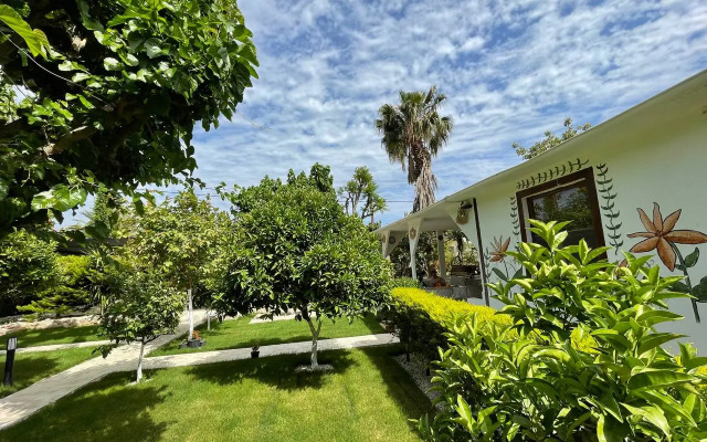 Alican Pension
