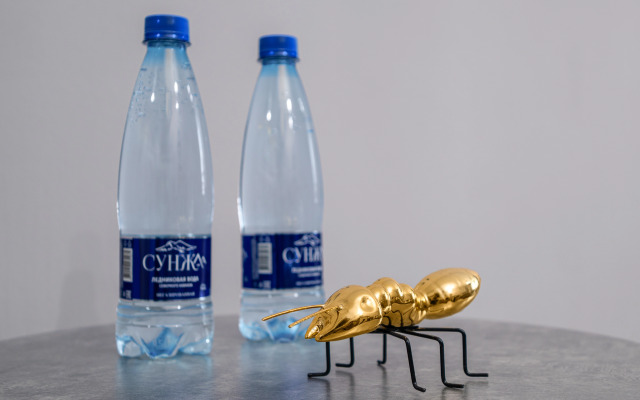 V Zhk Skazkagrad Flat