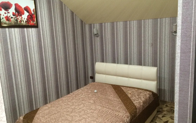 Mini hotel Mini- Hotel Astra