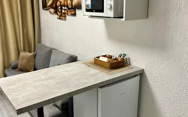 Апартаменты N3 на Петроградке