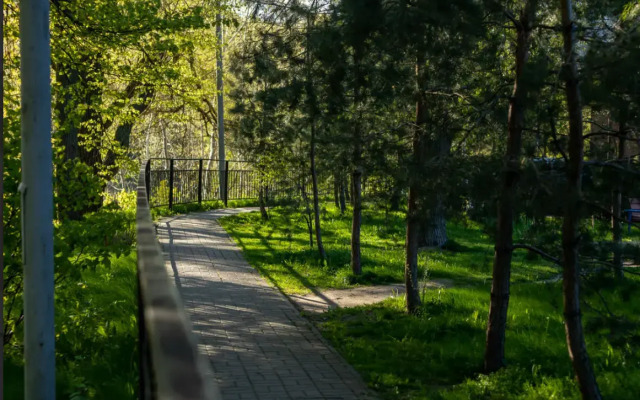 Квартира Панорама