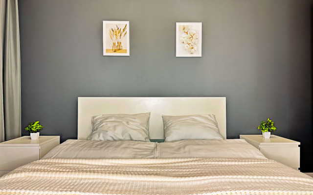 Apartments Rostov S Dizaynerskim Remontom