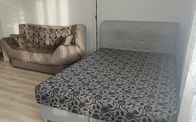 Квартира однокомнатная на проспекте Красный 331/2