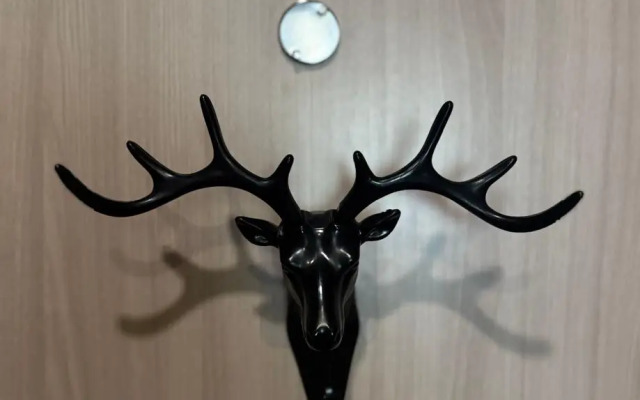 Квартира просторная студия в районе деловой активности в центре